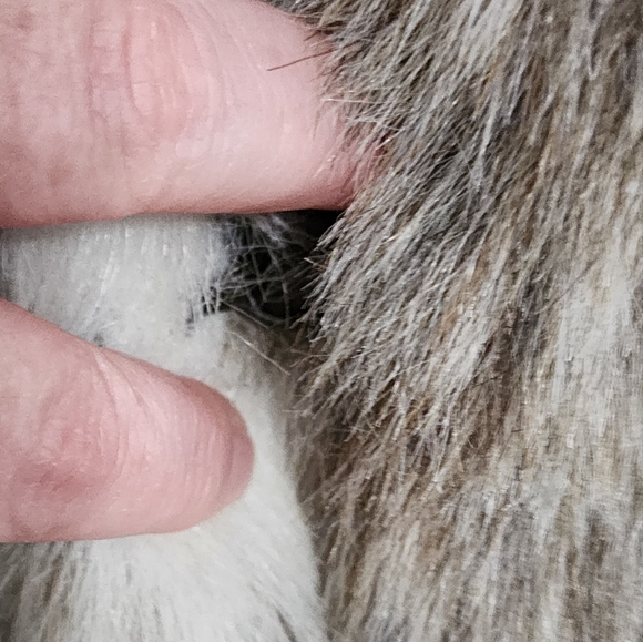 Vintage Nana Creations Mob wife faux fur tan & white animal print jacket S - Picture 3 of 7